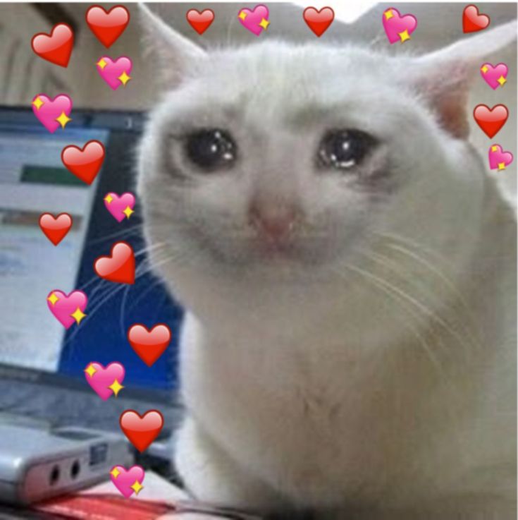 Me sobbing cause you all so amazing